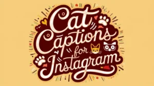 Cute and Funny Cat Captions For Instagram