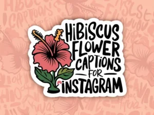 Hibiscus Flower Captions for Instagram