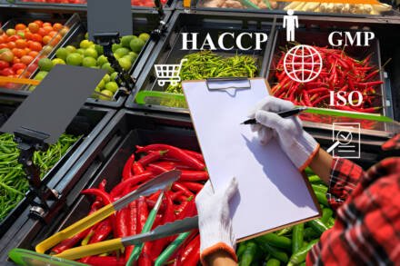 HACCP Training for Adelaide’s Food Industry: What You Need to Know